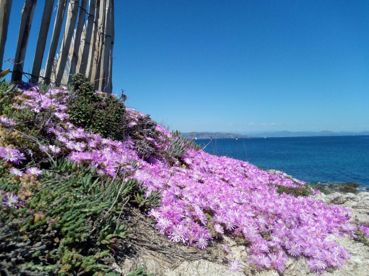 Les Calanques Appartement Les Issambres Buitenkant foto